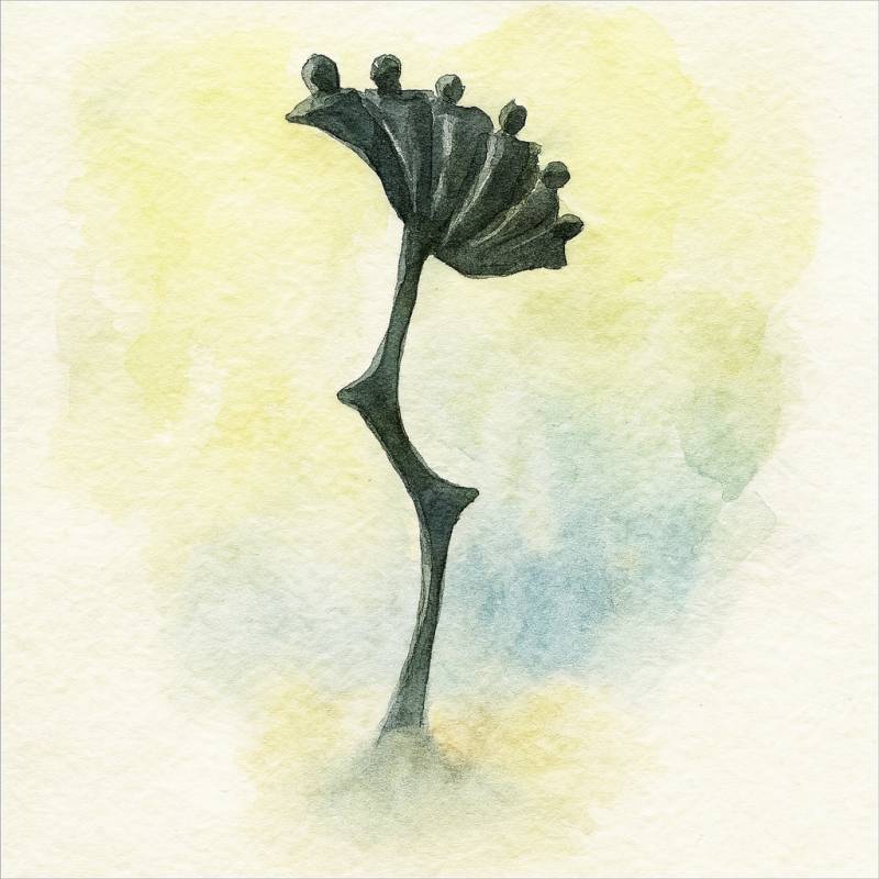 Aquarel 