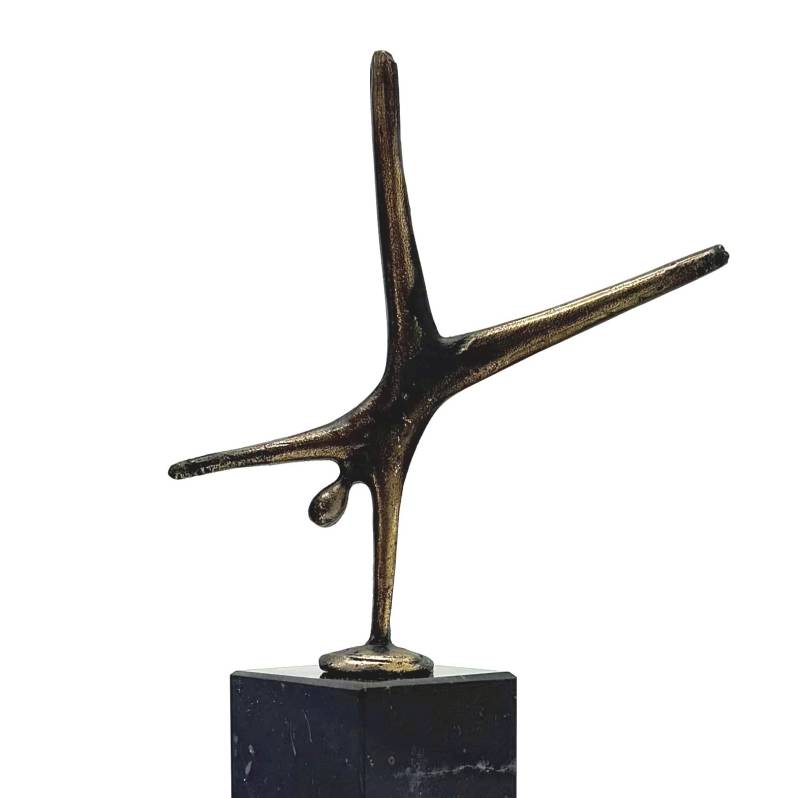 Op vleugels van ambitie