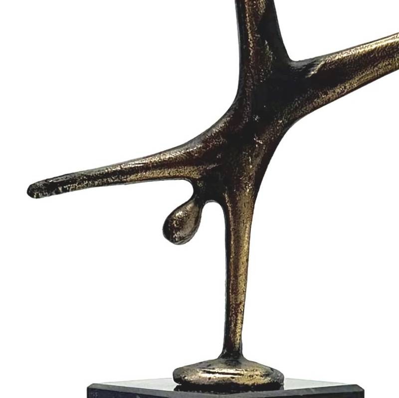 Op vleugels van ambitie